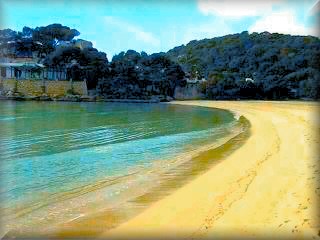 La playa de Cala Galdana es realmente un sueño, bonita, suabe, tranqula con bosque y las barcas entran por detras en el rio de cala Galdana, lo tine casi todo